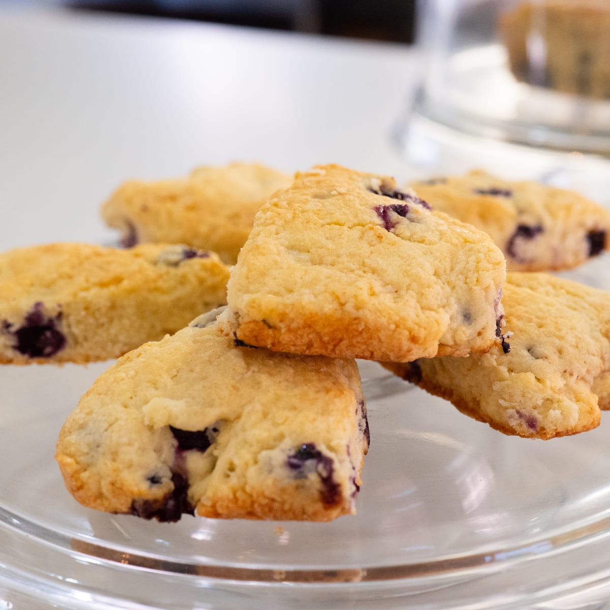 Plain or Blueberry Scone at Sip On The Square